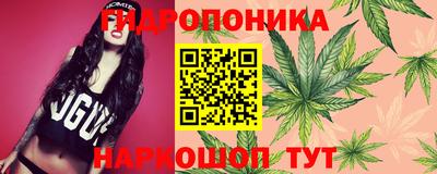 соль ск Обь