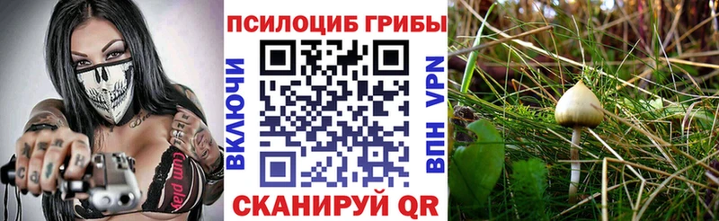 Псилоцибиновые грибы мицелий  купить наркоту  MEGA tor  Узловая 